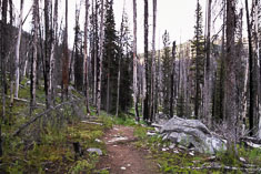 Click to enlarge