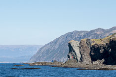 Click to enlarge