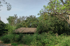 Click to enlarge