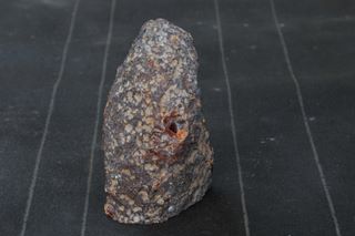 nodule, 6 in tall