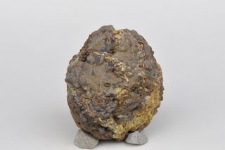 thunderegg 2 1/2 in dia